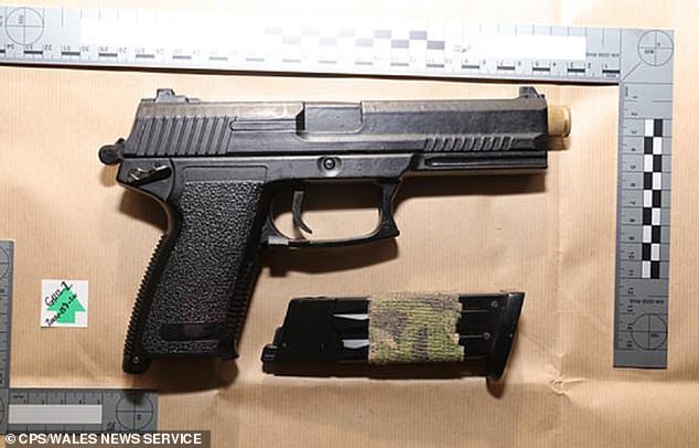 Two imitation handguns were also shown in court after husband Mr Mills managed to fight off Berry and Thomas before they fled