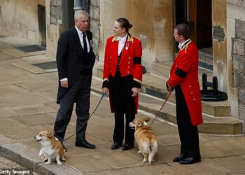 The corgis of the late Queen Elizabeth II which were adopted by Andrew Mountbatten Windsor and Sarah Ferguson are to remain in the care of their family