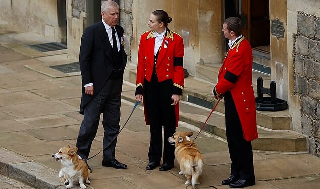 The corgis of the late Queen Elizabeth II which were adopted by Andrew Mountbatten Windsor and Sarah Ferguson are to remain in the care of their family