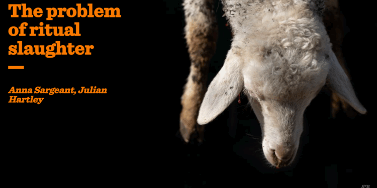 The problem of ritual slaughter | Anna Sargeant and Julian Hartley