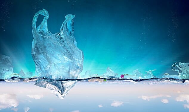 Tiny bits of plastic are causing toxic effects in all ecosystems and, perhaps most alarming, is that microplastics have been detected in human blood, lungs and even the placenta