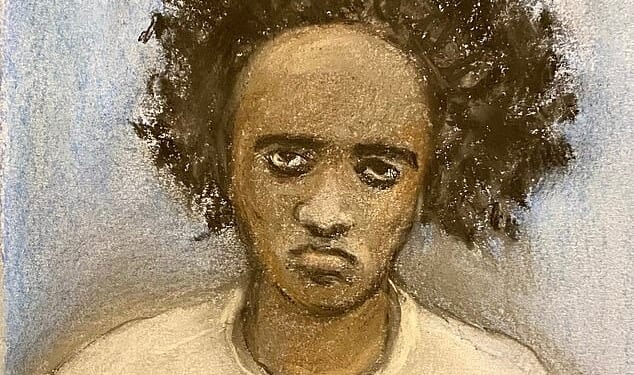 Axel Rudakubana murdered three girls in Southport last summer and tried to kill many more