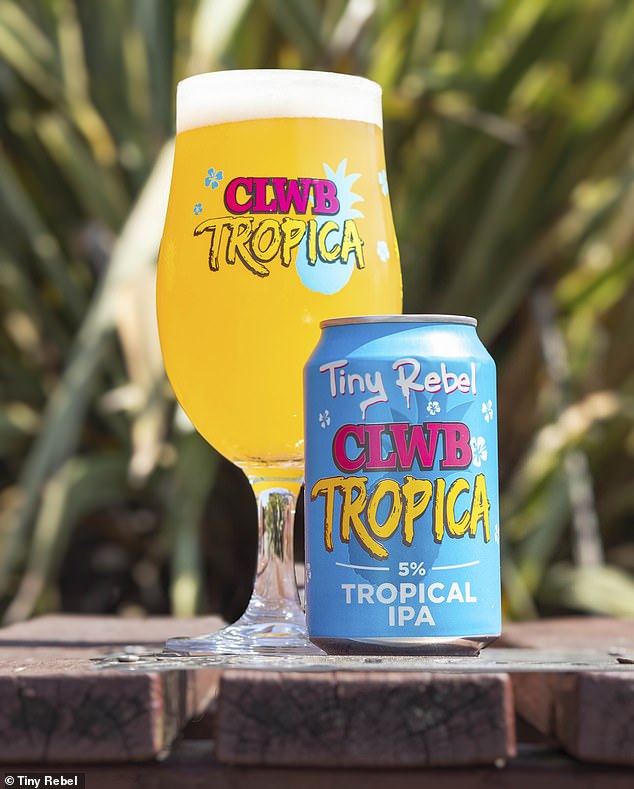 Tropical: One of Tiny Rebel's top-selling beers is Clwb Tropica, a 5% IPA
