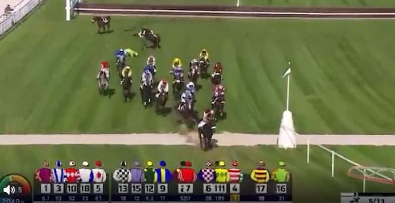 A horse racing fall with a jockey on the ground and multiple horses in motion, with racing data at the bottom.