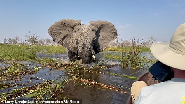 The tourists filmed their own attack, as the elephant suddenly charged at their canoe