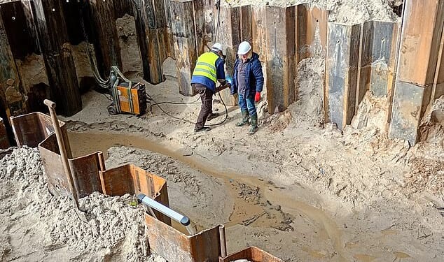 A treasure hunter who spent years searching for Nazi gold at an old palace says he has now found a 'large metal' object he thinks could be packed with looted WWII treasure