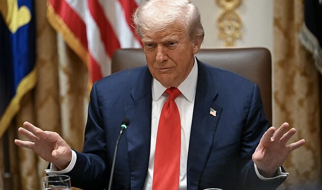 US President Donald Trump speaks during a meeting with Argentina's President Javier Milei in the Cabinet Room at the White House in Washington, DC on October 14