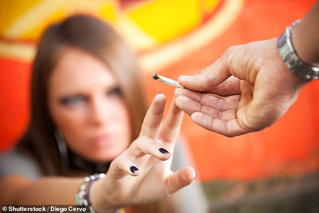 Many parents still think cannabis is relatively safe for their children to have, Dr Smith warned, and called on the government to raise awareness of the potential harms (stock image)