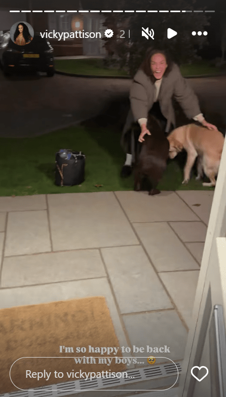 Vicky Pattison reuniting with her two dogs.