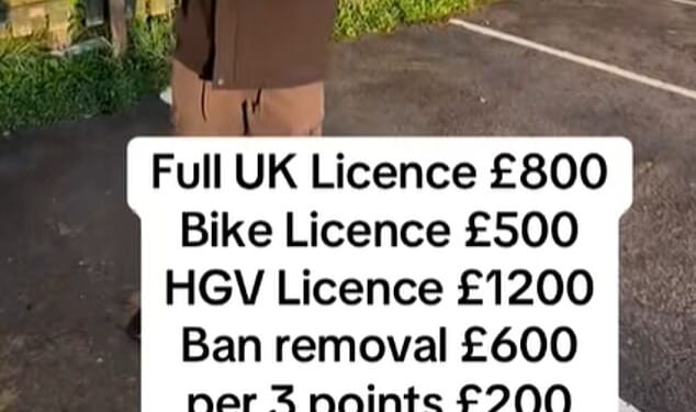 Would-be drivers are being fleeced out of hundreds of pounds by social media scammers promising to give them full UK licences - without ever having to do a test