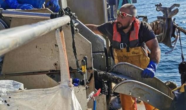 What the shell! French customs reject British shellfish after Starmer's EU 'reset' deal causes MORE border checks