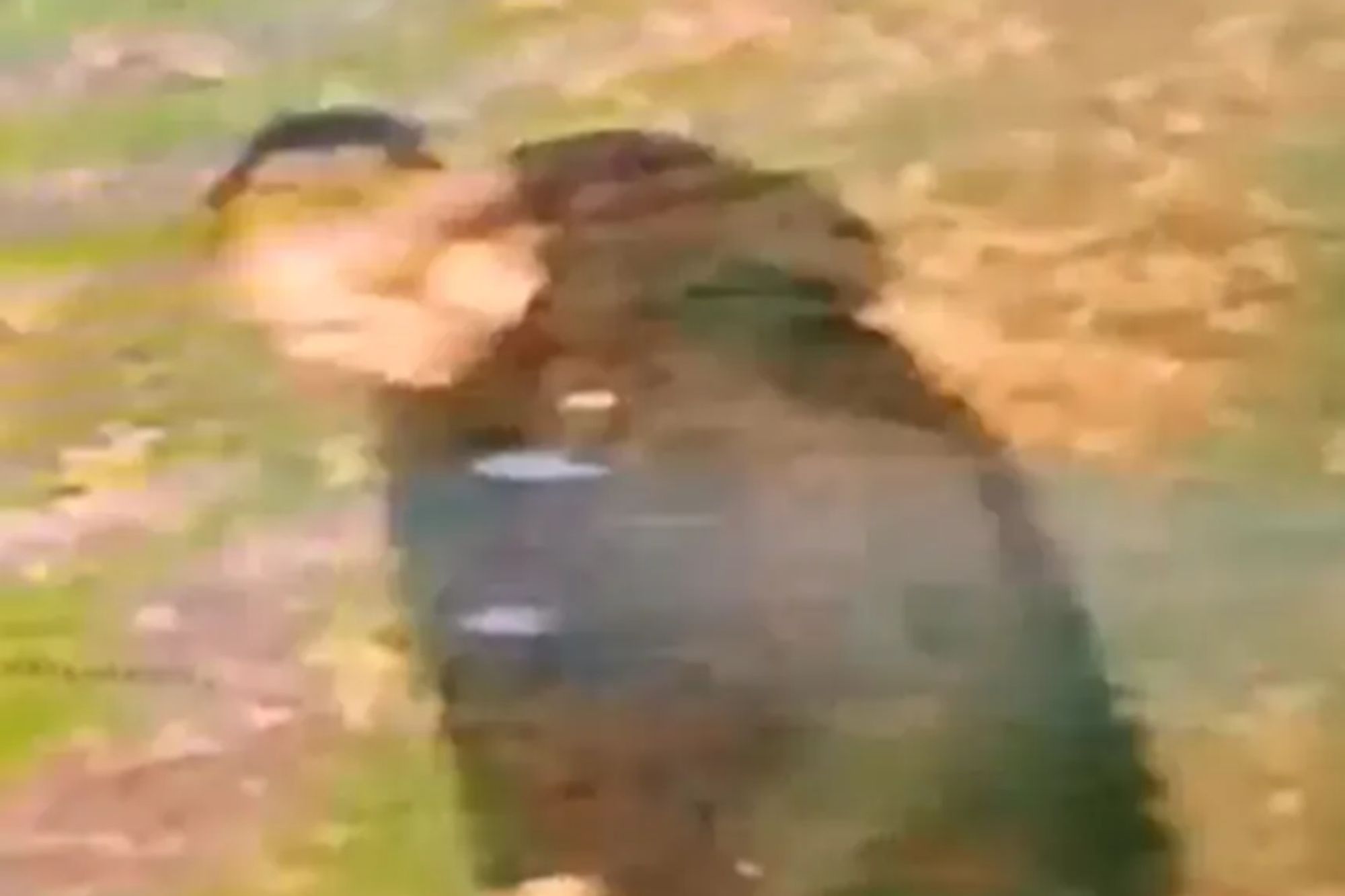 An image collage containing 1 images, Image 1 shows CCTV image of a man believed to have carried out a rape of a woman in a racially aggravated attack