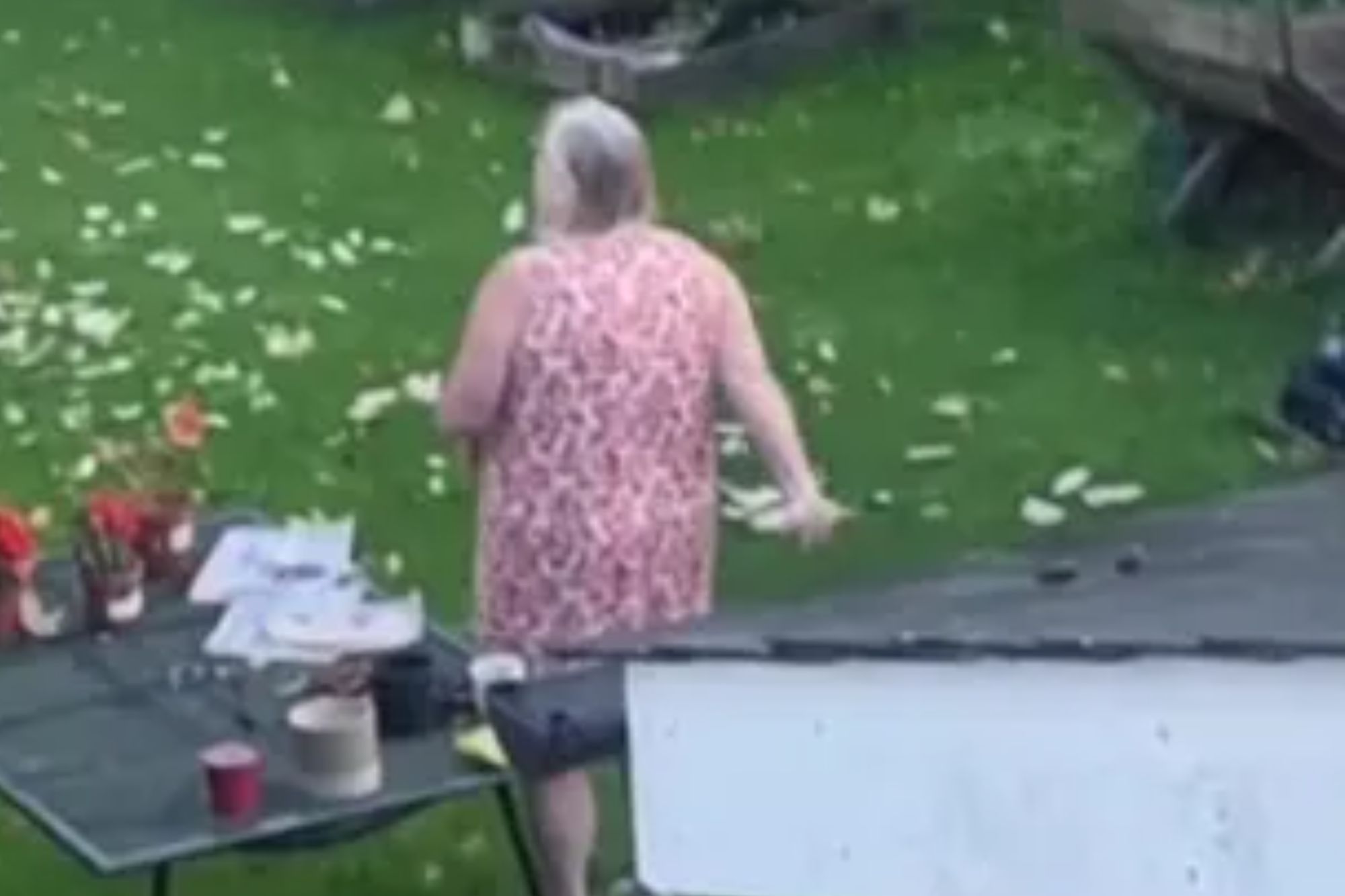 An image collage containing 1 images, Image 1 shows A woman throwing sliced meat onto a grassy lawn with a tent and garden table, surrounded by text about a rat problem