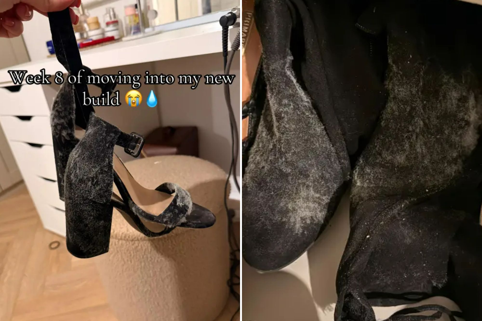 An image collage containing 2 images, Image 1 shows A woman holds up a pair of black velvet heels covered in mold, with the text "Week 8 of moving into my new build" and crying emojis, Image 2 shows A collection of shoes, some with visible mold, in a closet. Text reads "If anyone wants to send me some new shoes."