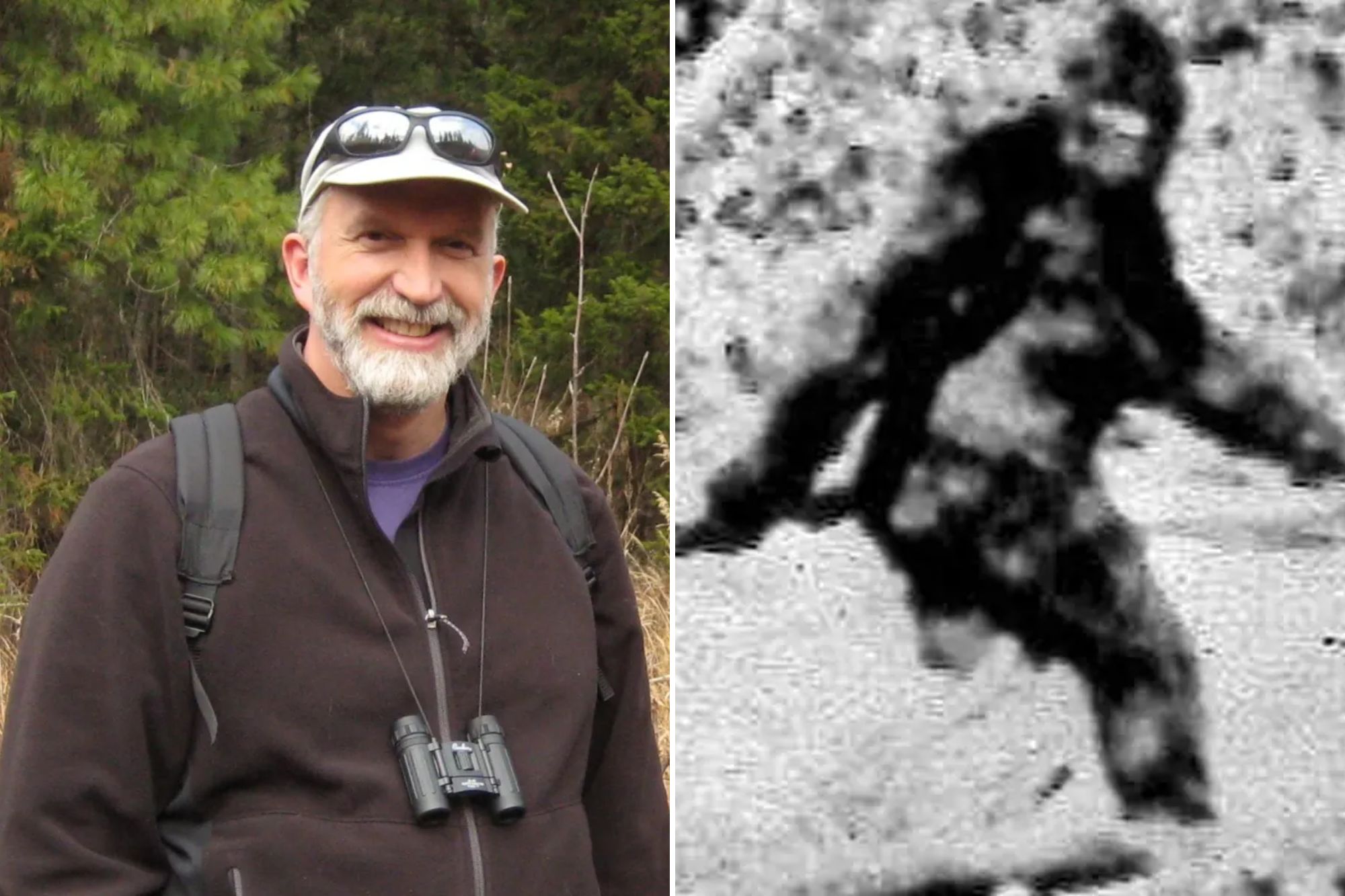 An image collage containing 2 images, Image 1 shows NINTCHDBPICT000755863248, Image 2 shows Patty, the alleged female Bigfoot, striding away from the camera in a grainy black and white image