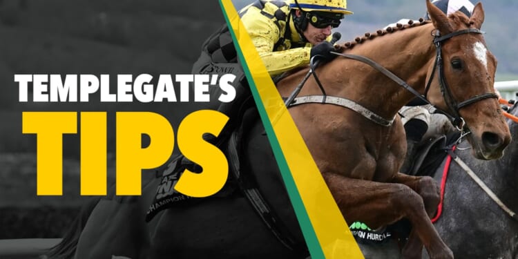 Horse racing tips: 'His trainer loves this time of year and he can defend his crown'