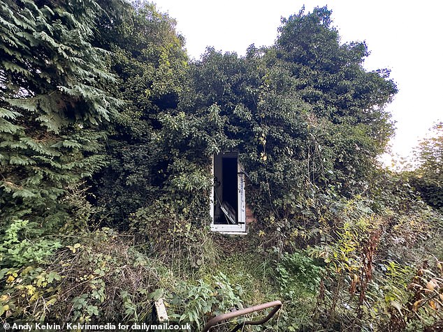 When the Mail visited, the front door of the overgrown shack had been removed