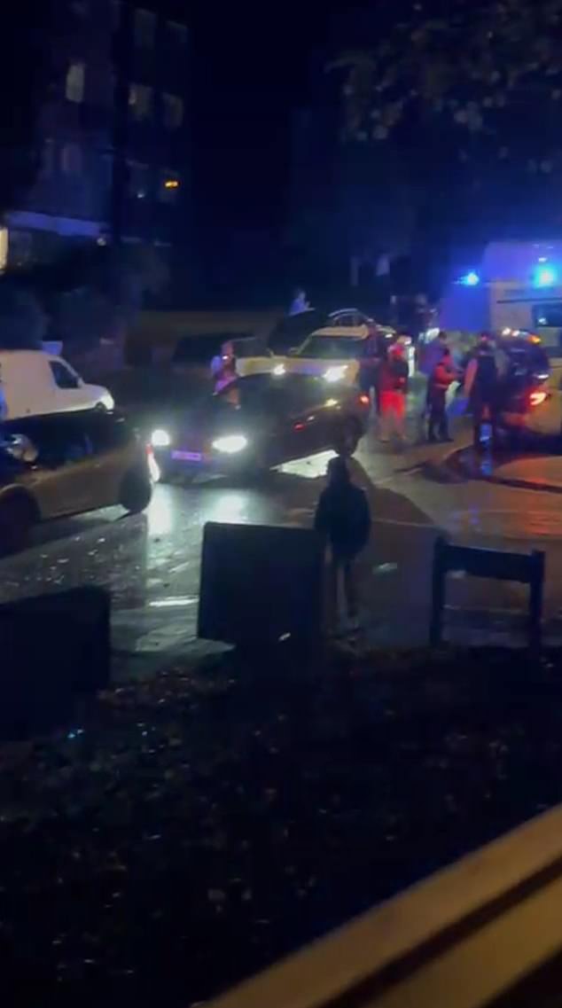 The police then surround the truck as they restrain the driver, while horrified onlookers - seemingly brought onto the street by the commotion - watch on from nearby
