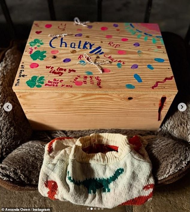 She also shared another snap of her pet memorial box for the family's beloved pet, which featured sweet goodbye messages on the top and green painted paw prints