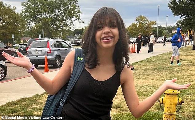 Peralta talked with several different bots but seemed to have the most connection with 'Hero'. Her parents claim the chatbots engaged in sexually violent fantasies with their daughter