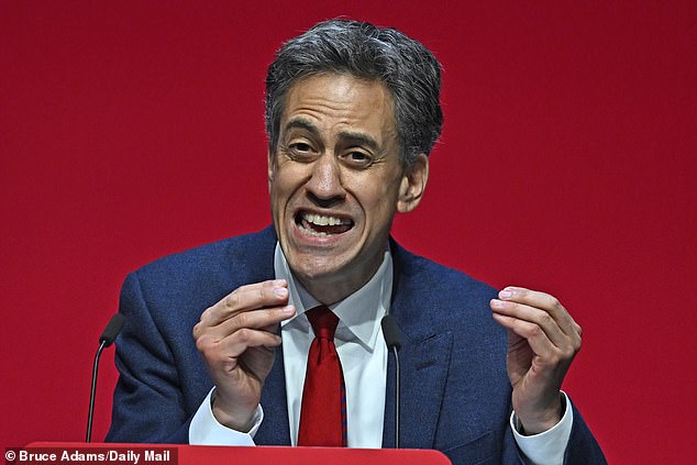 There are even suggestions that Energy Secretary Ed Miliband could mount a shock comeback