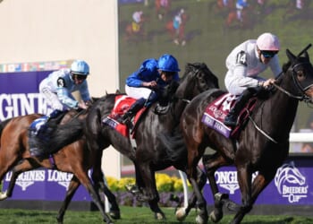 Stunned Willie Mullins hails 'huge' win as Ethical Diamond springs 28-1 shock at Del Mar