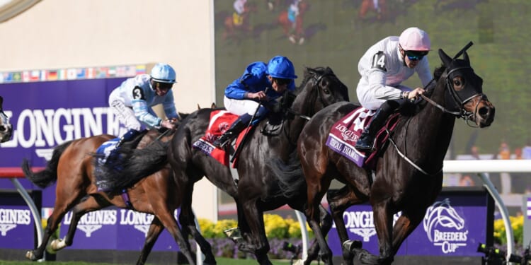 Stunned Willie Mullins hails 'huge' win as Ethical Diamond springs 28-1 shock at Del Mar