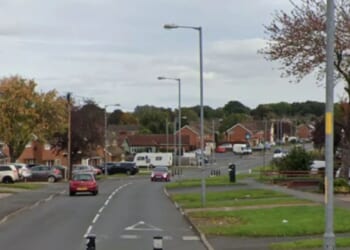 Woman in her 30s 'raped' on residential street in horror night-time attack