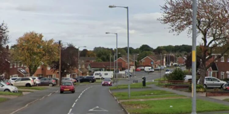 Woman in her 30s 'raped' on residential street in horror night-time attack