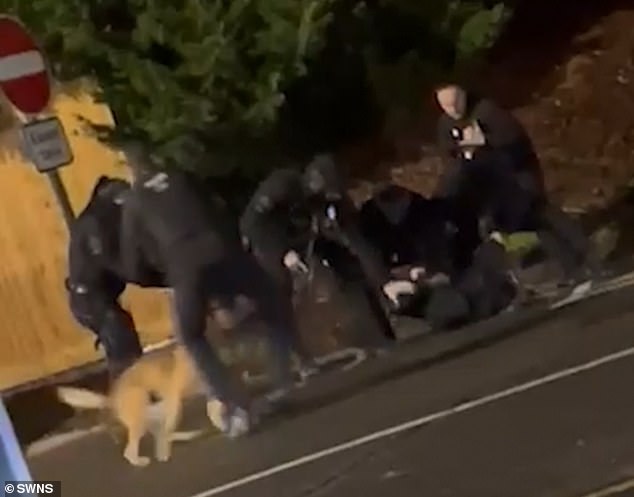 Video shows the man being tasered as five armed cops tackle him to the ground - a police dog and its handler can also be seen