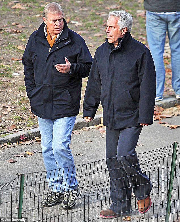 The downfall of Prince Andrew comes amid scandals surrounding his friendship with convicted paedophile Jeffrey Epstein (pictured together in 2010)