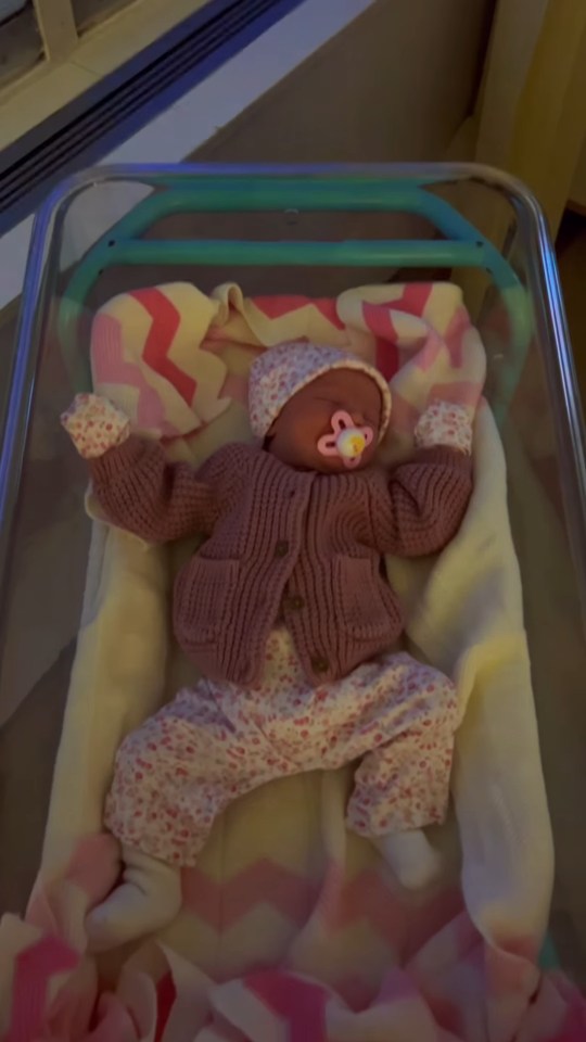 A newborn baby in a pink knitted cardigan, floral pants, a hat, and mittens, with a pink pacifier in its mouth, lying in a hospital bassinet.