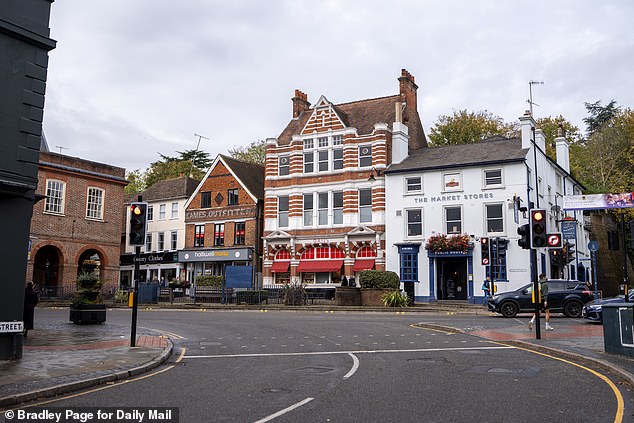 Meanwhile, the more affluent Reigate (pictured), considered the most upmarket part of the county, will join other areas such as Elmbridge, Tandridge and the Mole Valley to make up East Surrey