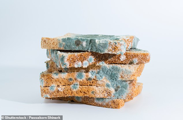 Bread is one of the most tempting foods to cut a little patch of mould off and eat