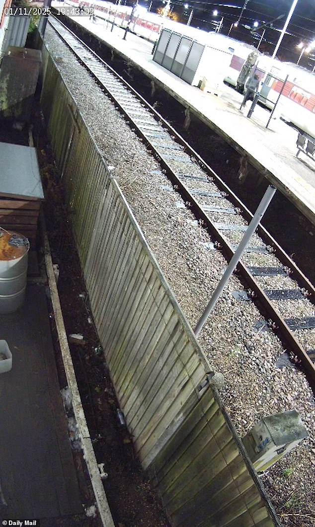 The knifeman was seen crossing tracks at Huntingdon after the train's emergency stop