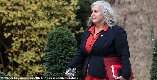 Mandatory Credit: Photo by Wiktor Szymanowicz/ZUMA Press Wire/Shutterstock (15629997az) Secretary of State for Transport HEIDI ALEXANDER arrives in Downing Street to attend the weekly Cabinet meeting. Cabinet Meeting In Downing Street, London, England, United Kingdom - 28 Oct 2025