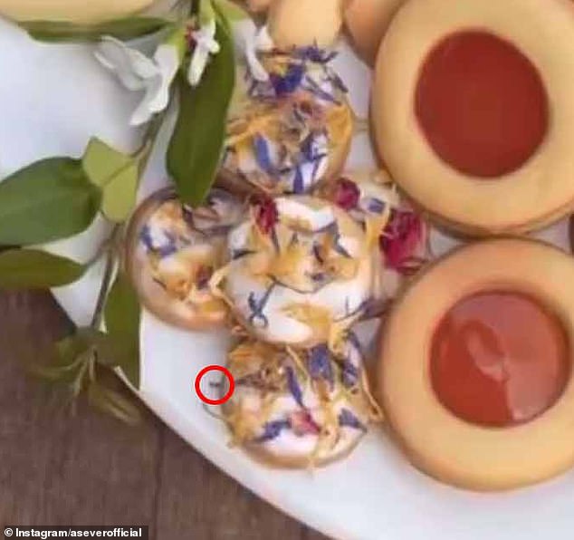 Eagle-eyed royal fans claimed to spot an 'insect' scuttling around near Meghan's shortbread cookies in a video she shared to Instagram in August