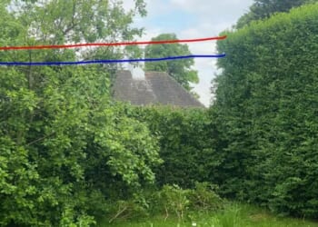 My neighbours cut a huge chunk out of our hedge to ‘neaten their side’