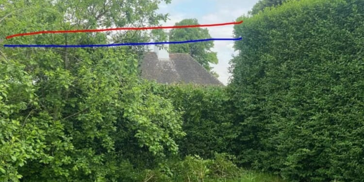 My neighbours cut a huge chunk out of our hedge to ‘neaten their side’