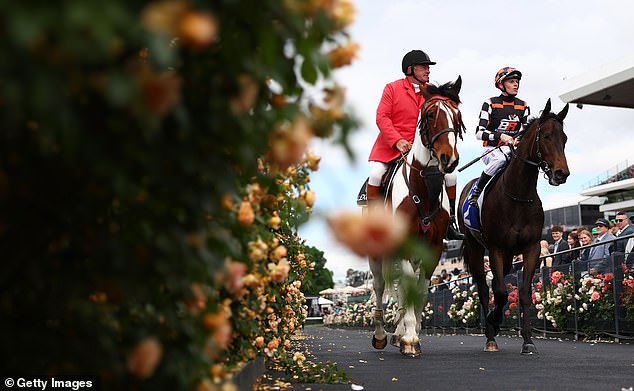 MELBOURNE, AUSTRALIA - NOVEMBER 04: Ethan Brown riding Tornado Valley returns to the mounting yard after winning race one the Darley Maribyrnong Plate during Melbourne Cup Day at Flemington Racecourse on November 04, 2025 in Melbourne, Australia. (Photo by Morgan Hancock/Getty Images)