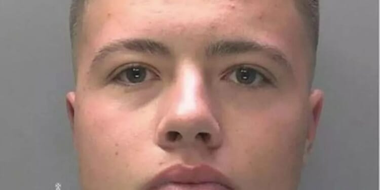 Teenager walked into homes of 89-year-old women and sexually abused them after claiming to be a therapist