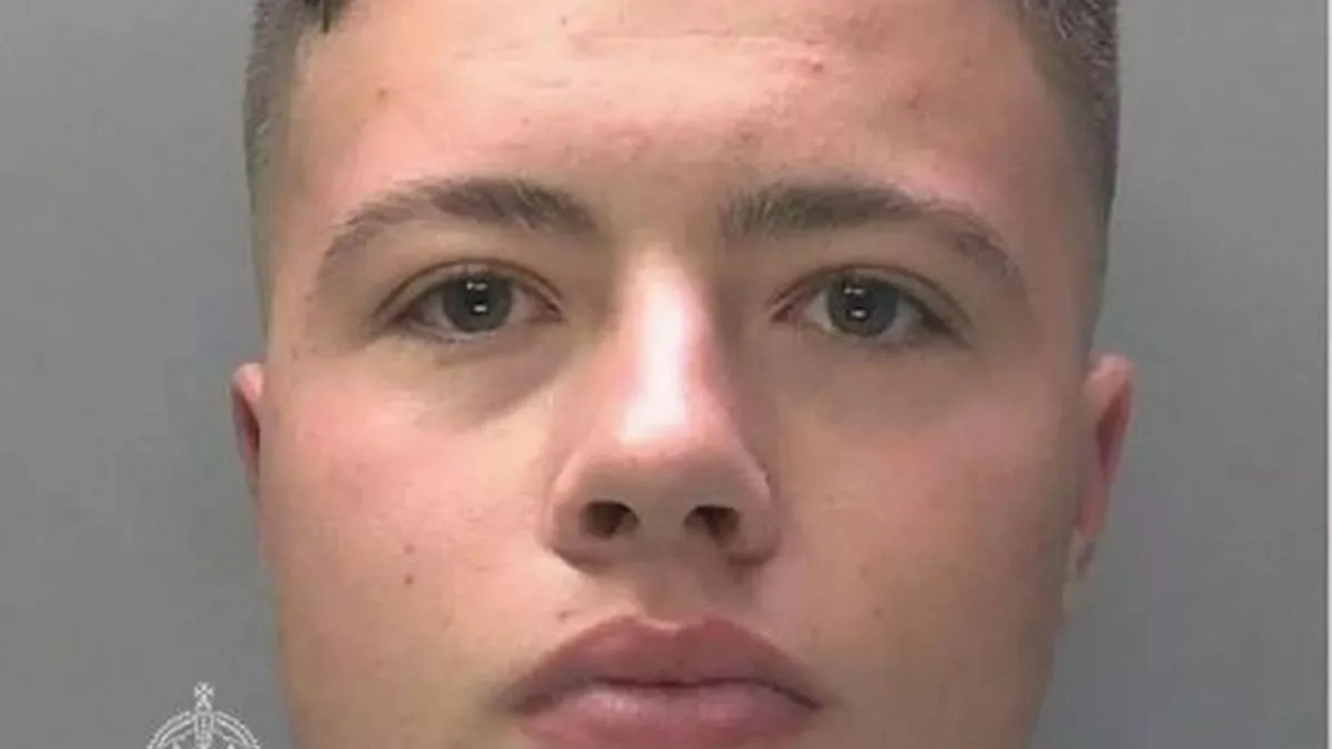 Teenager walked into homes of 89-year-old women and sexually abused them after claiming to be a therapist