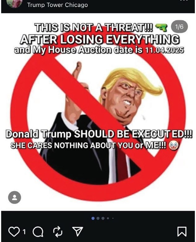 The criminal complaint seen by Daily Mail states Schneider posted a threatening photo on 20 separate occasions featuring a cartoon image of Trump. The picture included text which read 'Donald Trump SHOULD BE EXECUTED' and was tagged at the geolocation of Trump Tower in Chicago, Illinois