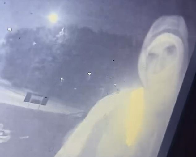 Bexley Council have since taken responsibility for the operation, saying the flags were removed for 'safety' reasons