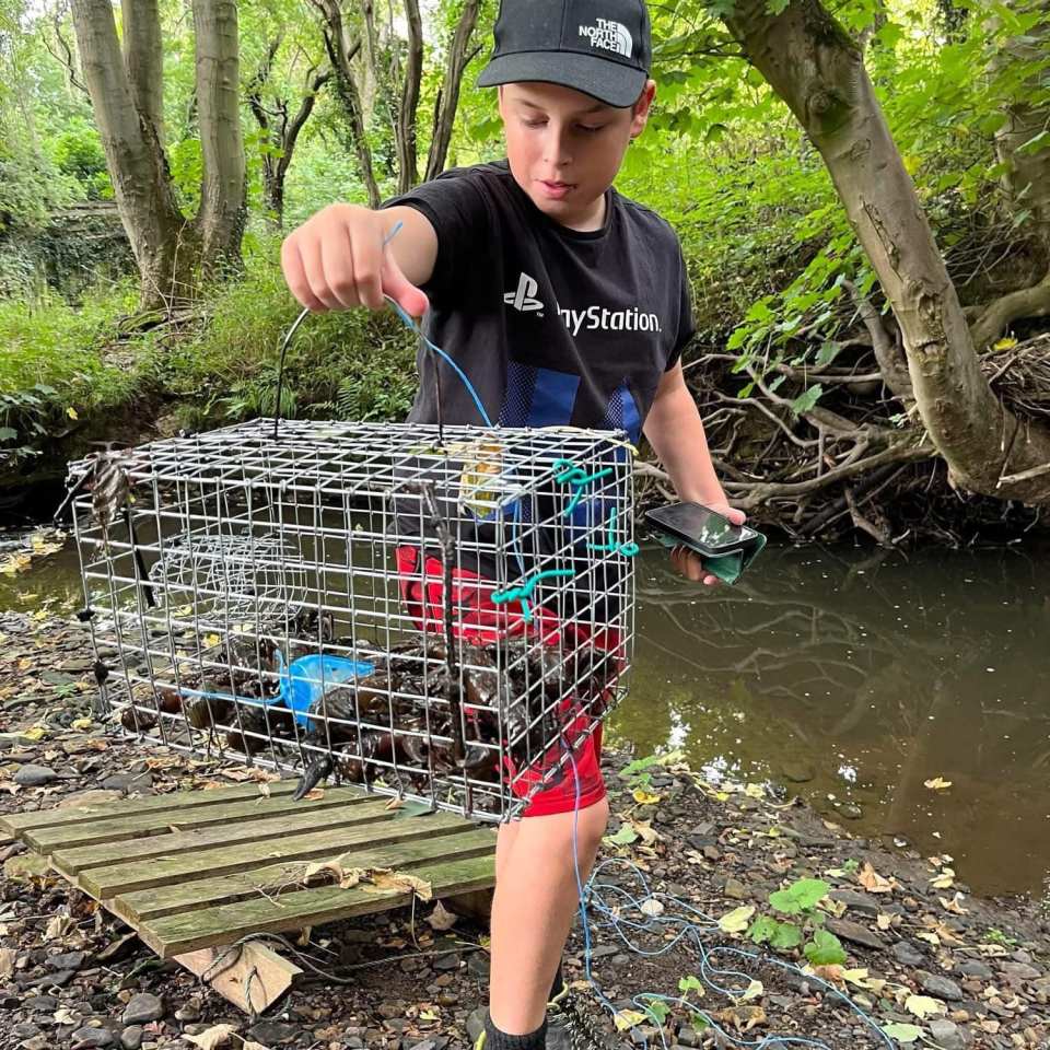 Jack David Allott holding a wire cage full of caught crayfish next to a stream.