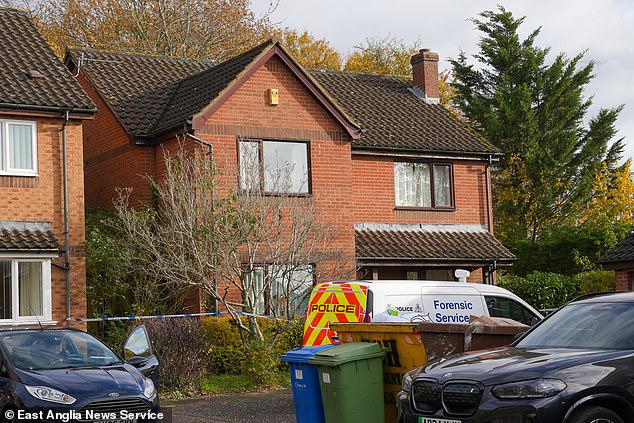 Moses Fernandes, 22, of Norwich, has been charged with murder (pictured: a forensic van at the scene)