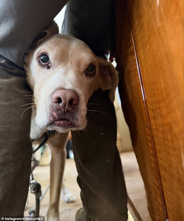 The post ended with a photo of Jim's adorable dog