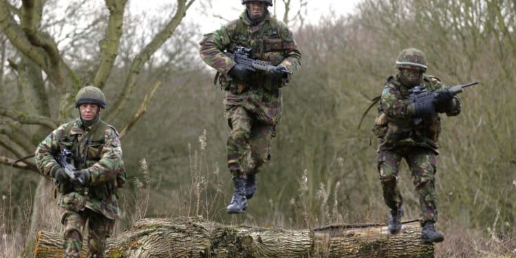 More than 13,000 members of the Armed Forces not fit for frontline service, government figures reveal