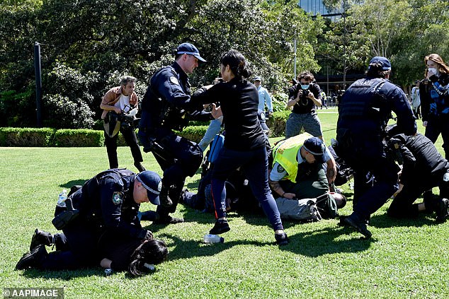 Superintendent Commander Paul Dunstan defended the use of force in detaining protesters, claiming officers were 'set upon' by a group of up to 100 activists