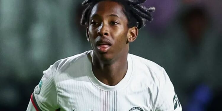 Chelsea youth clash halted after stars suffer shocking racist abuse vs Qarabag as club release statement